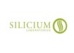 Silicium